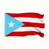 Bandera de Puerto Rico 90x150cm Bandera de Poliéster con Serigrafía para el Mundial 2026
