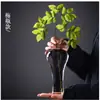 Jarrón de Vidrio Transparente Soplado Arreglo Floral Adornos Florales Hidropónicos Decoraciones de Mesa para Sala de Estar en Casa Botella Zen Guanyin