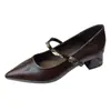 Zapatos de mujer de tacón grueso con punta fina y estilo francés en color marrón, nuevos de primavera y otoño 2026, zapatos Mary Jane bajos vintage con correa metálica