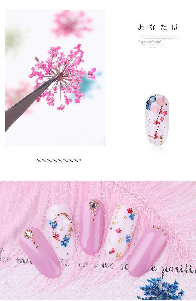 美甲干花 蕾丝干花 水仙花