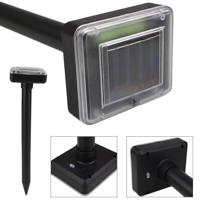 11588728092_172916038