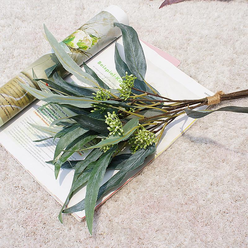 带果弯叶尤加利