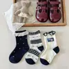 Calcetines para Niñas Estilo Coreano 2026 Otoño/Invierno Nuevos Versátiles Cómodos Elegantes Suaves Elásticos de Encaje Tobilleros