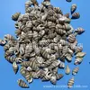 Artesanías de Caracolas Naturales Vendidas por Libra para Acuarios, Fotografía, Educación de Estudiantes y Niños, Minería y Uso Marino