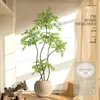 Planta Nandina Aterrizaje Planta en Maceta Interior Grande Biónica Verde Adornos Sala de Estar Lujo Ligero Flor Decorativa Árbol Falso