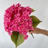 Decoração de Casamento de Hortênsia para Simulação de Novo Produto Transfronteiriço Cenário de Hotel Flores Artificiais Adereços de Fundo para Fotografia Flores Artificiais