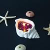 Vela Aromática Concha do Mar Kit Presente Grupo de Fragrâncias Salão Atividades Artísticas Pai e Filho Sacola de Materiais DIY Feita à Mão