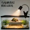 Lámpara de Sol para Tortugas con Temporizador, Lámpara Solar Pequeña para Mascotas, Lámpara de Calentamiento Suplemento de Calcio, Lámpara de Sol UVB para Reptiles Lagartos