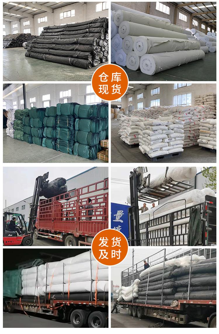 xiangq_10.jpg