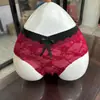 El Morado Tiene un Encanto~ Calzones Sexys de Encaje para Mujer, Rojo para el Año de Nacimiento, Calzones Transpirables de Deseo Puro para Niñas, Diseño Hueco