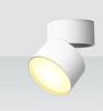 Downlight LED de Superfície com Dupla Cabeça Astigmatismo Sem Abertura Loja de Roupas Parede de Fundo Sala de Exposições Sala de Estar Teto Foco Tubo Dobrável