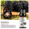 Exportación Transfronteriza Aceite Esencial Individual Fragancia Aromaterapia Masaje Aceite Esencial Sándalo Difusor Mayoreo Muestra de 10 ml