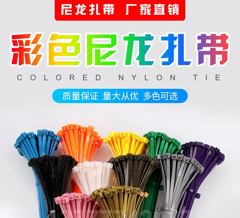5x300彩色扎带_01.jpg