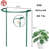 Estructura de Planta Ensamblada Transfronteriza Jardín Estaca de Soporte de Metal Jardín Estante para Flores Escalada Varilla de Metal para Plantas Jardín Poste para Arreglos Florales