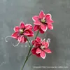Magnólia de Múltiplas Cabeças Casamento Vermelho Materiais Florais, Flores e Folhas Artificiais, Hortênsia, Decoração Suave para Salão de Casamento, Arranjo de Corredor, Arranjo de Flores, Flores de Fundo