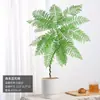 Jacaranda en Maceta Planta Verde de Interior para Oficina Estilo Japonés Sala de Estar Mueble de TV Planta de Piso Fácil de Mantener en Todas las Estaciones