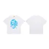 Venta al por mayor transfronteriza, Suministro estable a largo plazo, Camisetas casuales de manga corta de 230 g para hombre y mujer, Algodón 100% de peso pesado para hombre y mujer