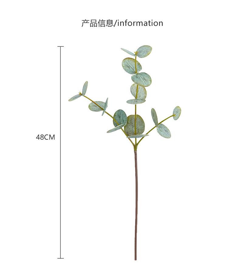 清新3叉手感尤加利_05.jpg