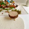 Caja Misteriosa Decoración Bosque Micro Paisaje Musgo Corteza Material DIY Casa de Muñecas Escena Accesorios Hechos a Mano Material