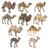 Conjunto de 10 Peças de Estatuetas de Camelo Figuras Realistas de Camelo do Deserto em PVC Inclui Camelos Bactrianos Dromedários Brinquedos de Animais para Crianças Conjunto de Brinquedos Educativos para Ag