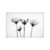 Comércio Exterior Fonte Transfronteiriça Pintura a Óleo Vermelha Flor Cinco Peças Pintura Decorativa Moderna Simples Pintura de Pendurar Pintura por Spray Núcleo Pintura Sem Moldura