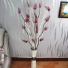 Sauce Dragón Decoración Natural para el Hogar Exhibición Arte Flores Secas Ramas Secas Accesorios para Disparos con Ramas Paquete de Ramas de Sauce Dragón Sauce Rizado