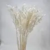 Buquê de Flores Secas aveia flor eterna material de flor diy decoração de casa nórdica aveia grande casamento adereços para fotografia com flores reais