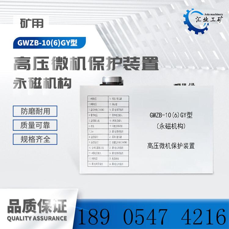 GWZB-10(6)GY永磁机构-高压微机保护装置