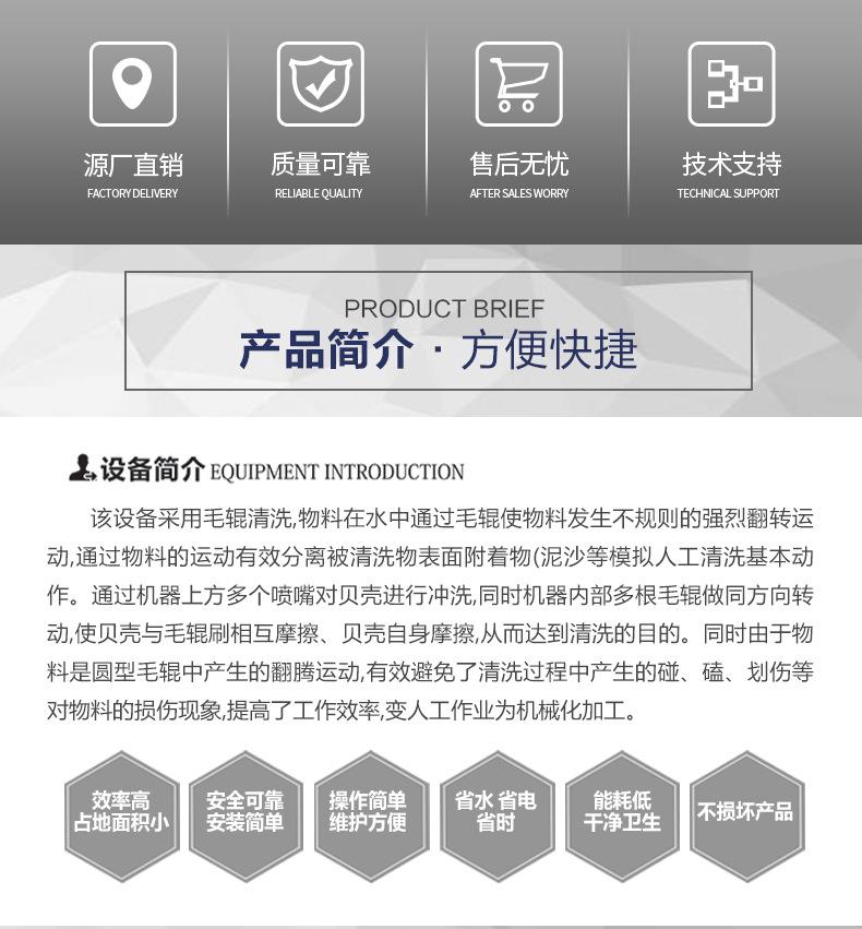 平行毛辊清洗机_02