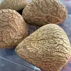 Fabricante de Fuente Artesanal de Indonesia, Piezas de Cáscara de Fruta Negra Semiacabadas Vendidas Individualmente, Se Pueden Usar como Materiales para Sonajeros, Carrillones de Viento y Campanas de Bricolaje