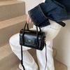 Bolsa Bolsa Bolsa Feminina Outono 2024 High-end Moda Textura Ombro Crossbody Pequena Bolsa Quadrada