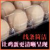 Bandejas de Huevos en Stock Mascotas Transparente Desechable Caja de Empaque para Huevos de Pato Caja de Plástico para Huevos de Codorniz Caja de Empaque para Huevos Conservados