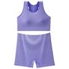 2026 Nuevo Estilo Color Sólido Tejido de Canalé Sin Costuras Sujetador de Yoga Espalda Cruzada Conjunto de Sujetador Deportivo Venta al por Mayor