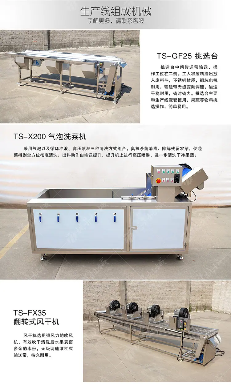 果蔬挑选气泡清洗风干生产线(旧)(750px)_03.jpg
