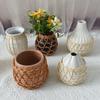 Handmade rattan-like Rattan tecido copo tampa vidro vaso seco sala de estar japonês criativo vaso planta aquática decoração palha