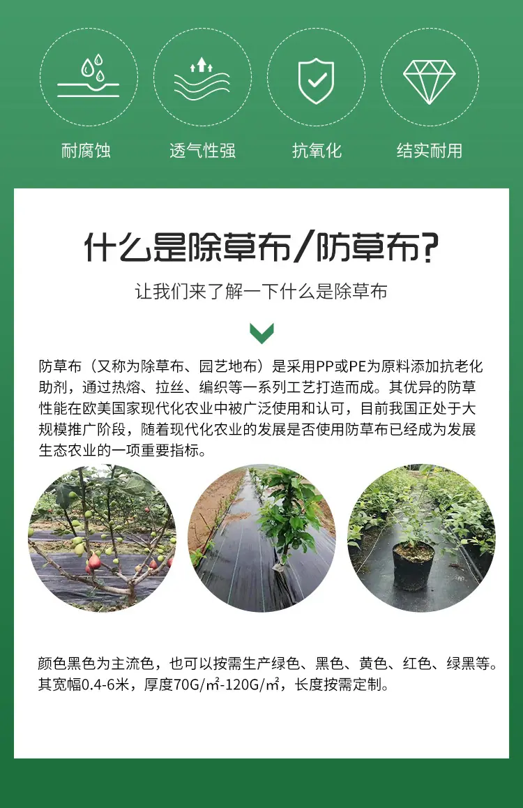 详情2_02.jpg