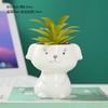 Maceta de cerámica de dibujos animados para comercio exterior, maceta para plantas suculentas, para el hogar transfronterizo, animal, planta verde, planta en maceta, oficina, adornos de cerámica creativos personalizados