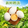 Ovos de ganso frescos de Heze, Shandong, disponíveis para dropshipping, 12 unidades por pacote, 120-140g, ovos de aves frescas, disponíveis o ano todo