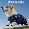 Pantalones Impermeables y Antipolvo de Pierna Completa con Estampado Completo de Oso Corgi para Perro para Salir, Peto a Prueba de Suciedad, Ropa para Mascotas