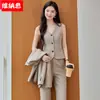 Conjunto de Duas Peças Elegante e Profissional com Colete e Calça Reta, Novo para Outono de 2026, Estilo Coreano, Roupa Formal de Negócios para Mulheres, Atacado Transfronteiriço
