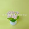 Planta em Vaso de Gypsophila e Miosótis de Crochê Flor Artificial Tecida Presente para Melhor Amigo, Professor, Amigo, Decoração de Interior, Alta Simulação