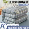 Colcha de Algodão de Xinjiang Classe A, Colcha de Inverno, Colcha de Verão, Colcha de Primavera e Outono, Núcleo de Colcha, Enchimento de Algodão, Colchão, Roupa de Cama, Entrega Direta de Xinjiang