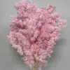 Materiales para Ramo de Fuegos Artificiales Pino Penglai Eterno Ramas Cortas Ramas Largas Materiales Hechos a Mano Arreglo de Ramo Floral