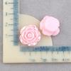 Materiales: Galvanoplastia, Flores para Uñas, Fundas para Teléfonos Móviles, Accesorios para el Cabello de Flor de Rosa en Resina, Tocado de Pegamento Cremoso, Accesorios para Joyería DIY