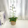 [Producto Terminado] Linterna de Campanillas de Lana Tejida a Mano Transfronteriza Flor Artificial Adornos de Escritorio Tejidos Regalos Creativos