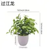 Comércio Exterior Transfronteiriço Atacado Planta Verde Simulada em Vaso Enfeites para Sala de Estar Planta Verde Eucalipto Artificial Simulado Flor Falsa Pequeno Bonsai