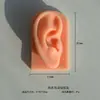 Modelo de silicone de orelha simulação nariz olho boca piercing de orelha adereços de exibição de joias modelo de orelha