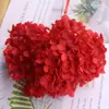 Hortensia flores eternas al por mayor Flores eternas de Yunnan flores secas hojas pequeñas Hortensia Anna fabricantes al por mayor ramo caja de regalo accesorios