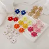Aretes de Margarita de Rafia Transfronterizos, Aretes Florales Dulces y Delicados Tejidos a Mano, Aretes Estilo Vacaciones en la Playa