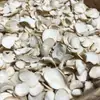 Ginseng Blanco, Ginseng Blanco del Lugar de Origen, Suministro Directo y Dropshipping